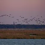 Hus Sunnenkringel Zingst