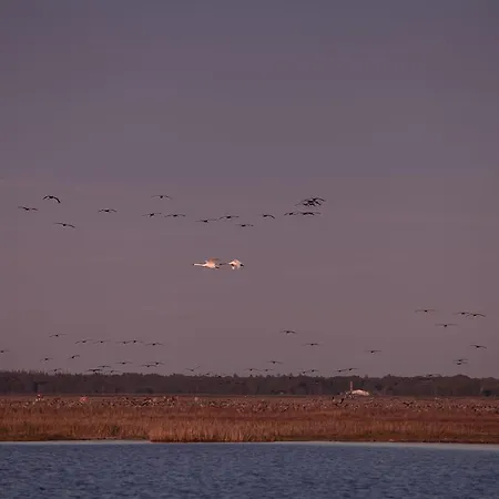 Hus Sunnenkringel 3* Zingst