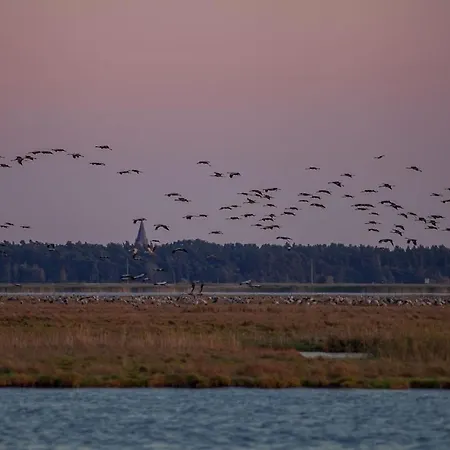 Hus Sunnenkringel Zingst