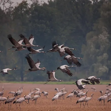 Hus Sunnenkringel 3*